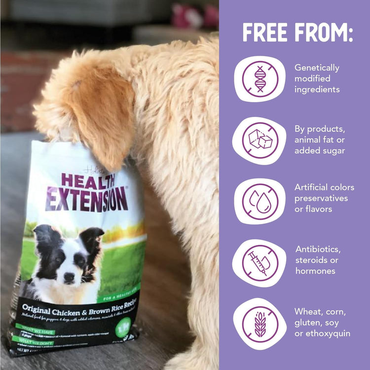 Pet Food