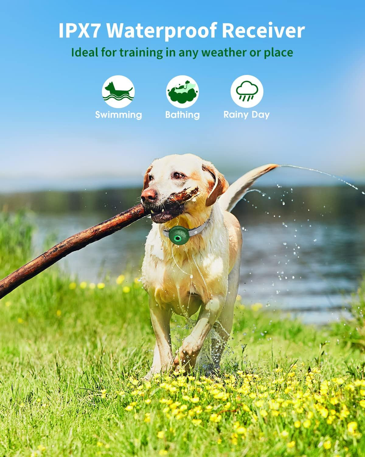 Shock Collar for Large Dog, Medium Dogs and Small Dogs, Dog Shock Collar with Remote 2600FT, Dog Shock Collar with Beep, Vibration, Static Shock and Safety Lock, Rechargeable