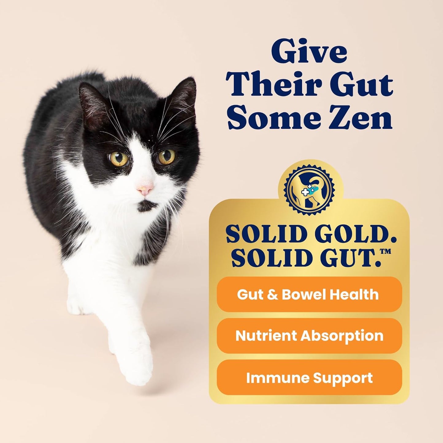 Indoor Dry Cat Food - Grain Free & Gluten Free - Chicken Cat Food Dry Kibble for Indoor Cats W/Probiotics & Fiber for Gut Health - Sensitive Stomach & Hairball Support for Adult Cats -12LB