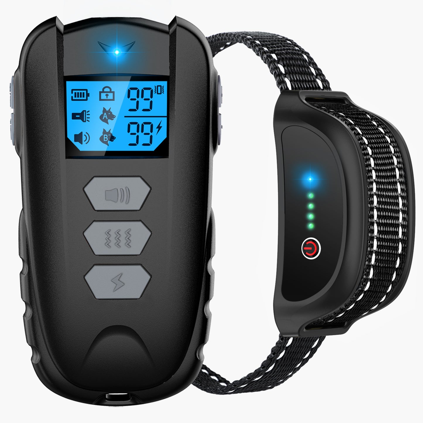 Private Model Remote Control Dog Training Device