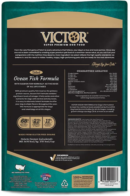 Super Premium Dog Food – Select Ocean Fish Formula with Salmon – Omega-3 and Omega-6 Enriched Gluten-Free Dry Kibble for All Normally Active Dogs of All Life Stages, 5Lbs