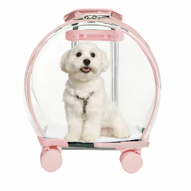 Trolley Suitcase Carrier Transparent Pet Carrying Bag Cats Conveyors Carrying and Strollers Cat Cage with Wheels Pet Products