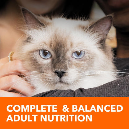 Proactive Health Adult Healthy Dry Cat Food with Chicken, 7 Lb. Bag