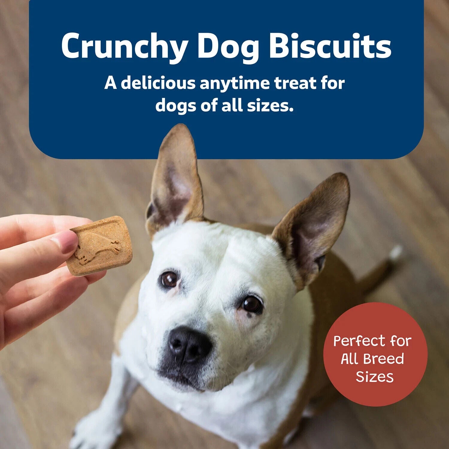 BLUE Buffalo Health Bars Crunchy Dog Treat Biscuits, Bacon, Egg & Cheese 80 Oz.