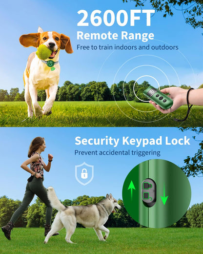 Shock Collar for Large Dog, Medium Dogs and Small Dogs,  Dog Shock Collar with Remote 2600FT, Dog Shock Collar with Beep, Vibration, Static Shock and Safety Lock, Rechargeable