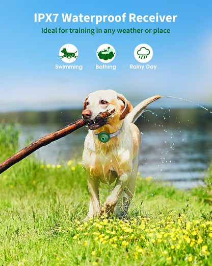 Shock Collar for Large Dog, Medium Dogs and Small Dogs,  Dog Shock Collar with Remote 2600FT, Dog Shock Collar with Beep, Vibration, Static Shock and Safety Lock, Rechargeable