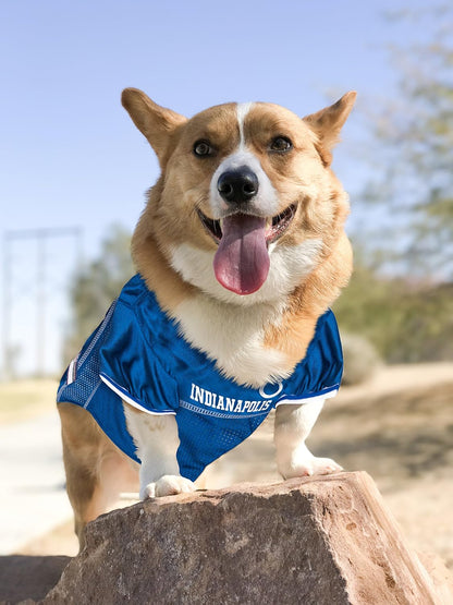 NFL Indianapolis Colts Dog Jersey - X-Small, Football Jersey Costume for Dogs