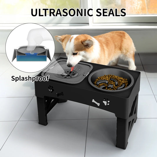2-In-1 Adjustable Height Slow Feeding Bowl for Small to Medium Dogs and Cats