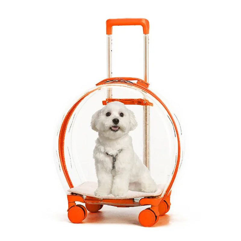 Trolley Suitcase Carrier Transparent Pet Carrying Bag Cats Conveyors Carrying and Strollers Cat Cage with Wheels Pet Products