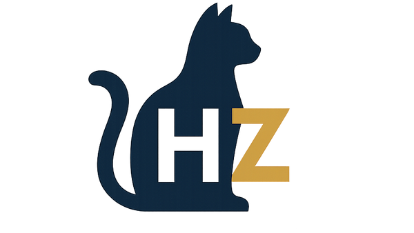 HAKI ZONE